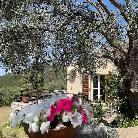 Nyaraló A Casalena - Maison Individuelle Balagne