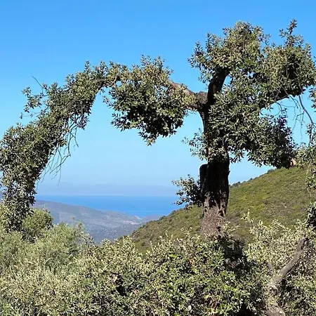 A Casalena - Maison Individuelle Balagne Nyaraló Urtaca