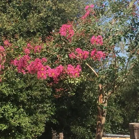 Hébergement de vacances A Casalena - Maison Individuelle Balagne