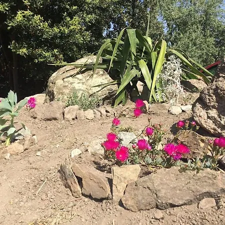 A Casalena - Maison Individuelle Balagne