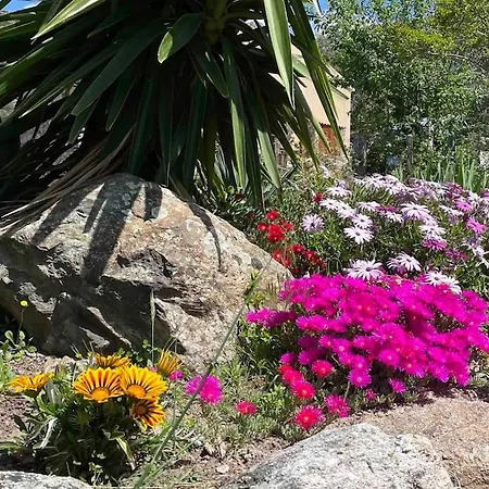 A Casalena - Maison Individuelle Balagne * Urtaca