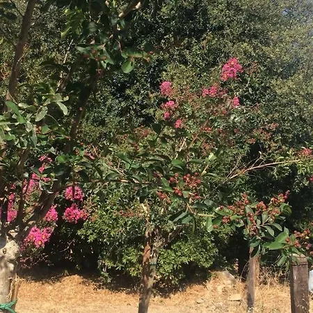 A Casalena - Maison Individuelle Balagne Urtaca